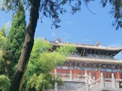 -洛阳白马寺