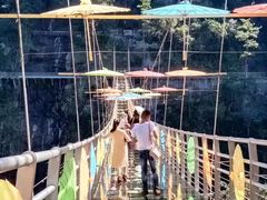 -九龙江国家森林公园