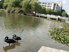 -江南大学(蠡湖校区)