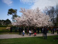 -复旦大学光华楼