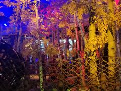 -华夏文旅西安度假区