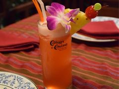 -卷心菜和避孕套餐厅(Pattaya)