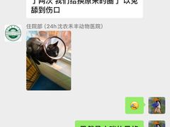 -派美特宠物医院·核磁CT·骨科肿瘤·疑难转诊(沈农禾丰店)