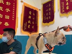 -乖乖宠物医院·猫科·急重症中心(车站北路分院)