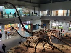 -自贡恐龙博物馆