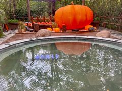 -天目湖御水温泉·度假酒店