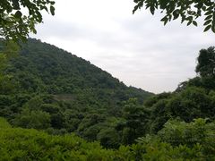 -火炉山森林公园