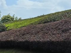 -敬亭山风景名胜区