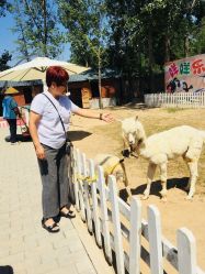-上美四季动物农场