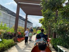 -新地休闲农场