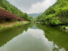 -桃花岭景区