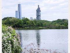 -观山湖公园