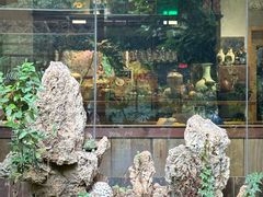 -谷咖啡·鲜花绿植花园餐厅