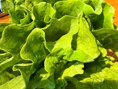 -金掌勺·锅包肉(双榆树店)