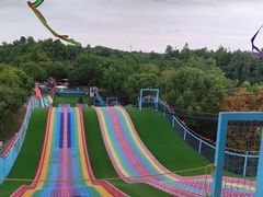 -上海海湾国家森林公园