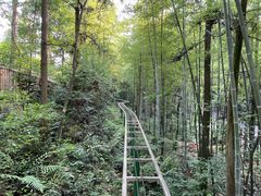 -石燕湖生态旅游景区