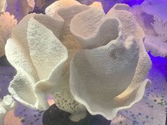 -游龙石文化科普馆