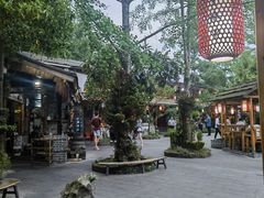 -青城甲(青城山店)