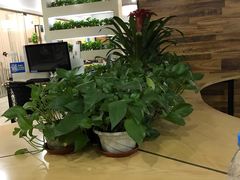 -网鱼网咖·电竞(中山友好广场店)