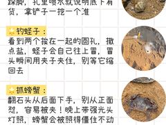 -巧克力渔家.小船海鲜家常菜(万平口店)