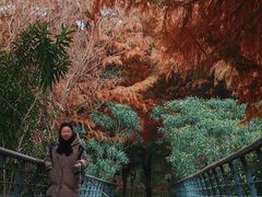 -尚贤河湿地