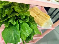 -花苑美食横琴生蚝火锅(拱北粤华路店)