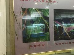 -上海昆虫博物馆