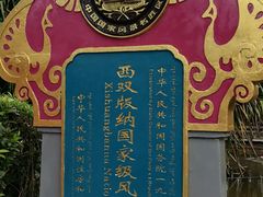 -中国科学院西双版纳热带植物园
