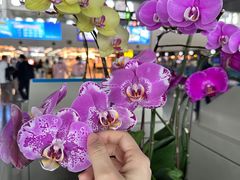 -厦门高崎国际机场-T3航站楼