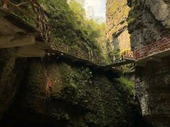 -鹿院坪生态旅游景区