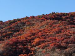 -水峪民俗村