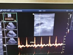 -仁华宠物医院(青羊店)