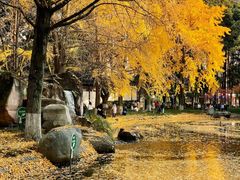 -温江公园