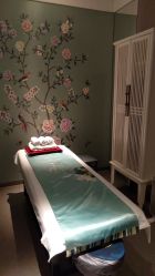 -奈瑞儿美颜美养SPA