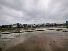 -会仙湿地