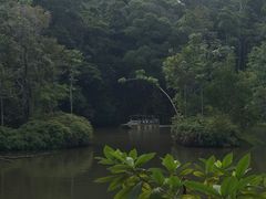 -热带雨林自然公园