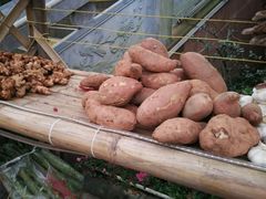 -楠柏弯休闲山庄(梨花溪店)