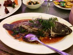 android_upload_pic-福州香格里拉·宴会厅