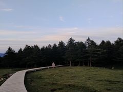 -芦芽山旅游度假区