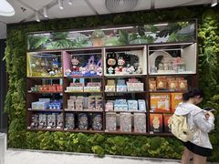 -泡泡玛特POPMART(天环购物中心店)