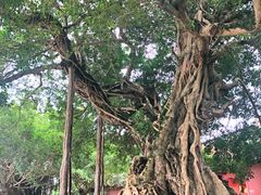 -闽粤南澳总镇府