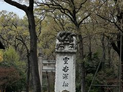-灵谷景区