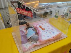 -万达广场(北京槐房店)