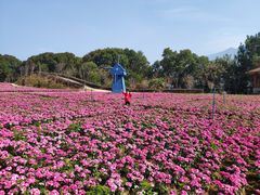 -广州市流溪河国家森林公园