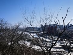 -高尔山公园