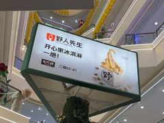 -野人先生Gelato(上海长宁龙之梦店)