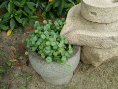 -厦门日月谷温泉渡假村