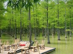 -泗洪洪泽湖湿地景区