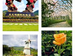 -亚龙湾国际玫瑰谷