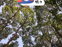 -洋湖国家湿地公园